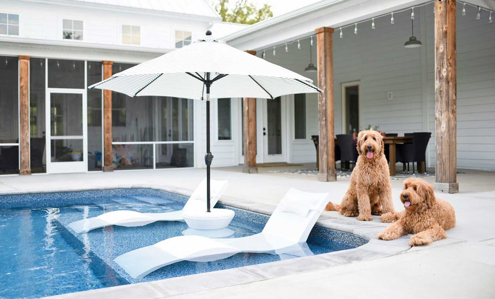 Chaise pool lounger